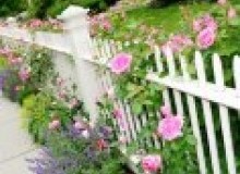 Kwikfynd Garden fencing
springbeach